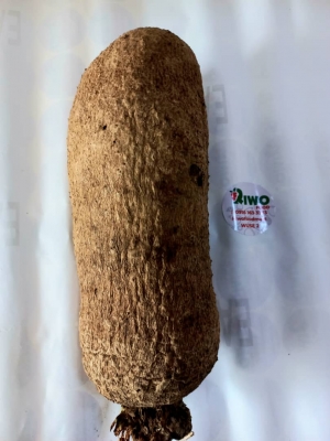  tuber of yam
